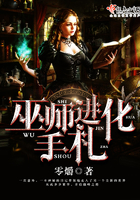 巫师进化手札封面