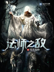 法师之敌封面