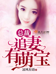 总裁追妻有萌宝封面