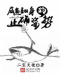 咸鱼翻身的正确姿势封面