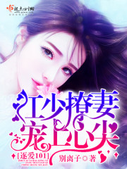 逐爱101：江少撩妻宠上心尖封面
