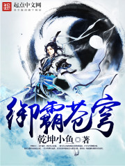 御霸苍穹封面