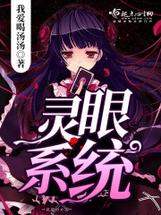 灵眼系统封面