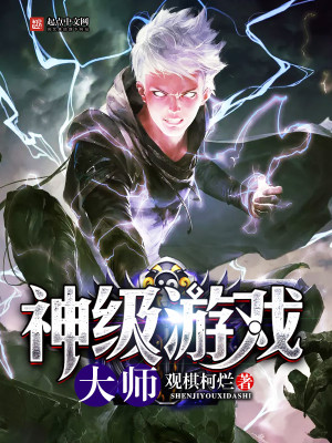 神级游戏大师封面