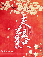 夫君是只老狐狸封面