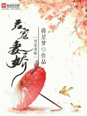 君宠妻娇封面