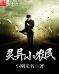 奇异小农民封面