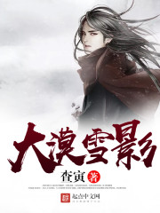 大漠雪影封面