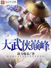 大武侠巅峰封面