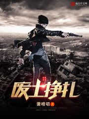 废土挣扎封面