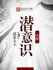 潜意识入侵封面