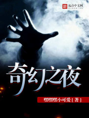 奇幻之夜封面