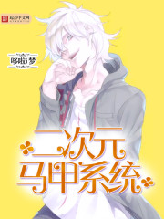 次元马甲系统封面