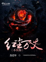 红尘万丈不负你封面