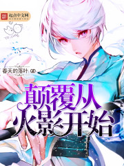 颠覆从火影开始封面
