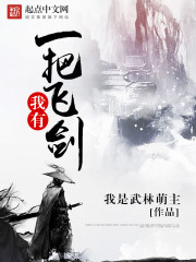我有一把飞剑封面