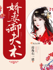 娇妻御夫术封面