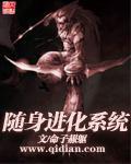 随身进化系统封面