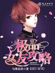 极品女友攻略封面