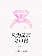 风为星辰立中宵封面
