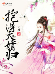 抱得夫婿归封面