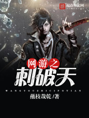 网游之刺破天封面