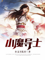 小魔导士封面