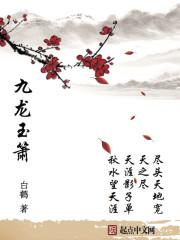 九龙玉箫封面