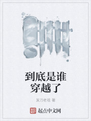 到底是谁穿越了封面