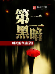 第二黑暗封面