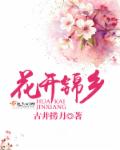 花开锦乡封面