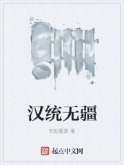 汉统无疆封面