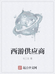 西游供应商封面