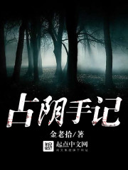 占阴手记封面