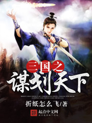 三国之谋划天下封面
