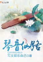 琴音仙路封面