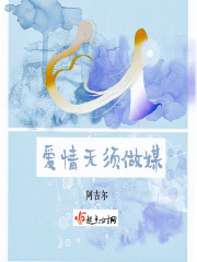 爱情无须做媒封面