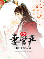北宋妻管严封面