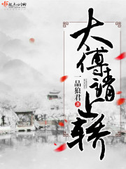 太傅请上轿封面