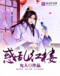 惑乱红楼封面