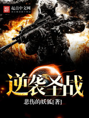 逆袭圣战封面