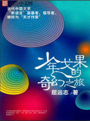 少年戈果的奇幻之旅封面