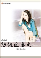 裴少的悲催追妻史封面