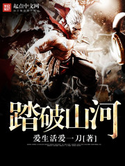 踏破山河封面