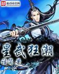 星武狂潮封面