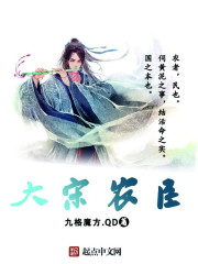 大宋农臣封面