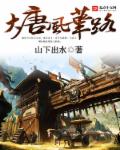 大唐风华路封面