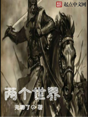 二个世界封面