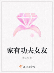 家有功夫女友封面