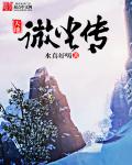天地微尘传封面